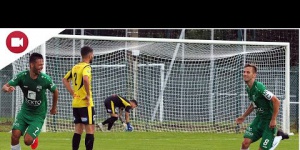 Qui c'est les plus forts? Étonnement, c'est les Verts